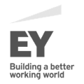 ey_1